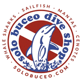 Logo Solobuceo
