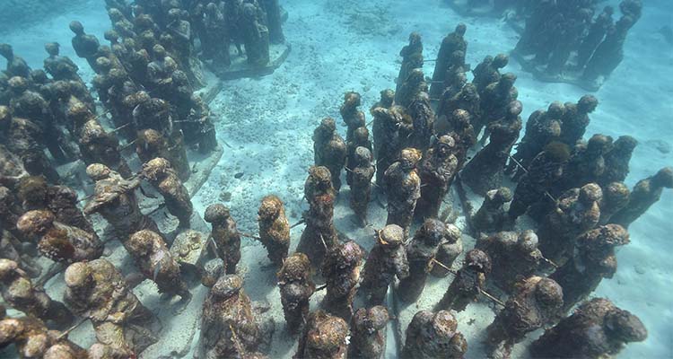 Servicio de Snorkel Privado en Cancún