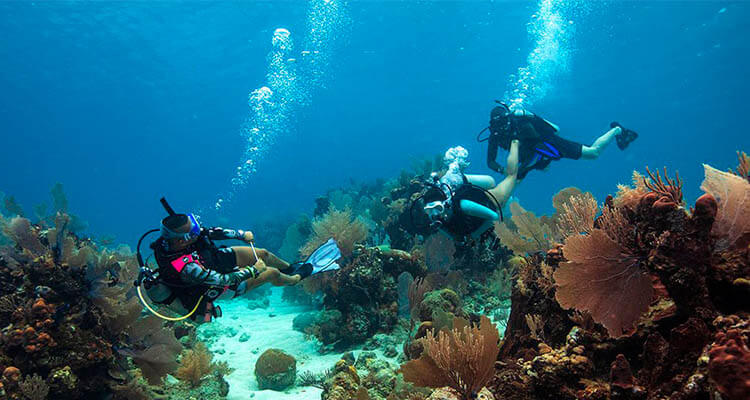 Dive Master Course in Cancun