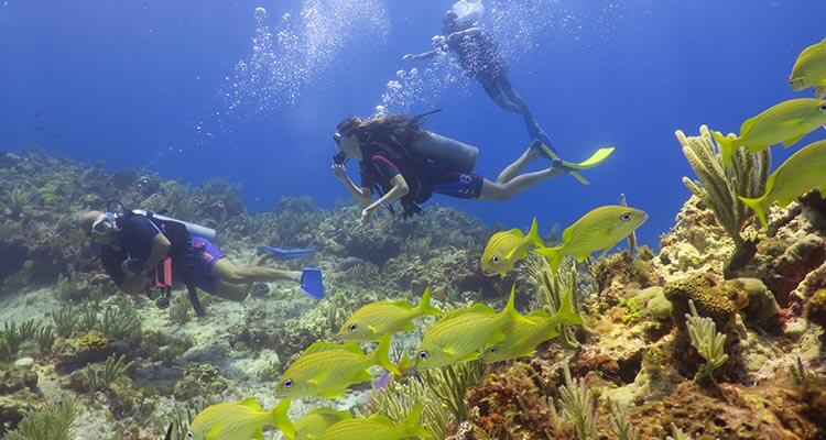 CertificaciÃ³n de Buceo SSI en CancÃºn