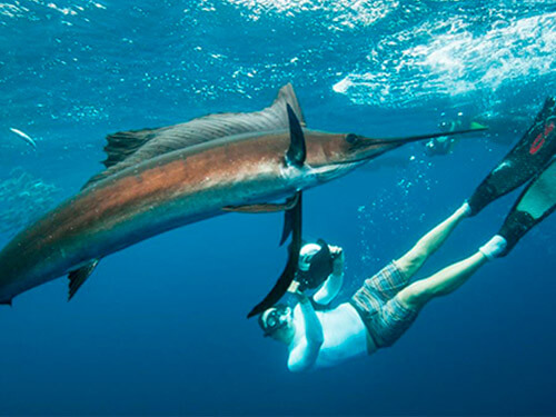 cancun snorkeling tours
