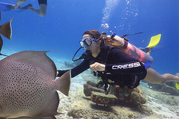 solo dive cancun