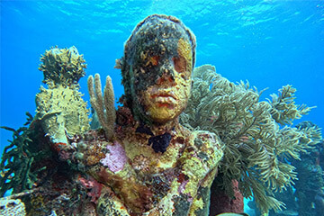 Cancun Scuba Diving Tours | Solo Buceo Cancun